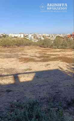 εικόνα_Viber_2025-12-10_20-25-42-814.jpg